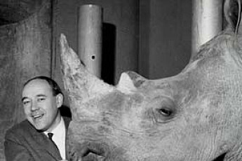 ‘털 없는 원숭이’ 저자, 동물학자 데즈먼드 모리스 별세…향년 98세