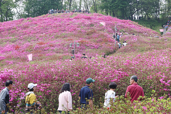 황사 물러난 자리 ‘큰 일교차’...출근길 쌀쌀 [날씨]