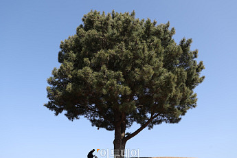 [내일 날씨] 내륙 낮밤 일교차 20도 안팎⋯주말까지 맑음