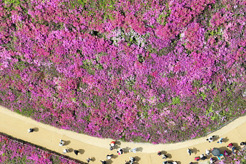 주말 한낮 25도까지 오른다… 다음 주엔 평년 기온 되찾고 봄비