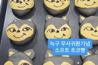 늑구빵부터 '늑구맘'까지⋯대전 뒤흔든 늑구 신드롬 [이슈크래커]