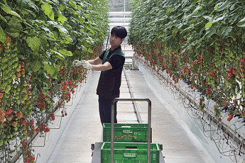 GS더프레시, 발달장애 청년 일터서 봉사하며 5년째 상생 이어가