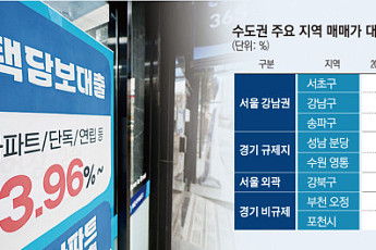 강남은 '현금'·외곽은 '영끌'…대출 규제에 매수 흐름 갈렸다