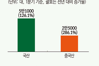 車 안방시장 재편 가속…中 전기차 공세·신차 경쟁 격화 [ET의 모빌리티]