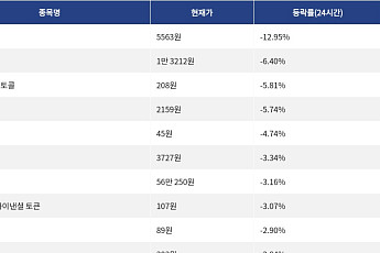 [넥스블록][하락 코인 10] 밈코어 -12.95% 하락, 베니스 토큰 -6.40% 약세