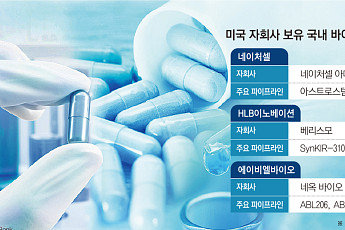 개발부터 큰 시장에서…K바이오 미국 관계사 ‘잘나가네’[K바이오 성장공식①]