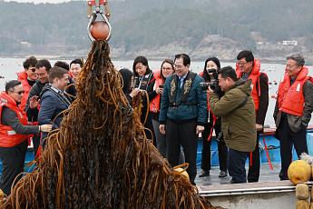 완도군 해조류...'바다가 연금 준다'