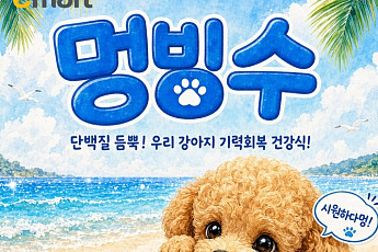 이마트 ‘몰리스’, 황태냉면·멍빙수로 반려견 웰빙 입맛 공략