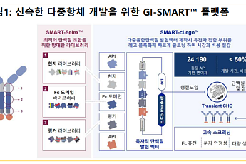 스몰인사이트 