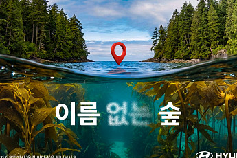 현대차, 바다숲 지키는 ‘이름 없는 숲’ 캠페인 전개