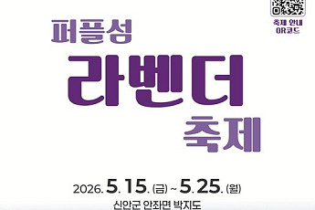 신안군, 퍼플섬 라벤더 축제 15일 개막