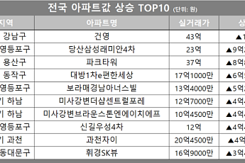[아파트값 상승 톱10] 서울 강남구 ‘건영’ 등