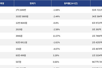 [넥스블록][거래량 톱 코인 10] 비트코인 1억 1646만 원, 이더리움 333만 5869원
