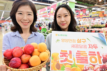 농협유통, 하나로마트 제철 맞은 햇자두·살구 첫 선봬
