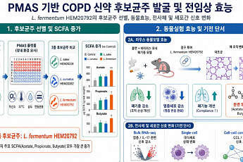 HEM파마, COPD 생균치료제 전임상 성과 네이처 자매지 게재…“폐기종 개선 확인”
