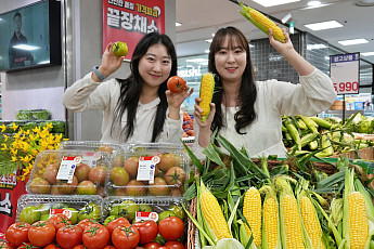 롯데마트, 기온 상승에 찰토마토·초당옥수수 출하 4주 앞당겨