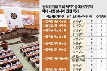 정치 개혁 한다더니…기초의원 ‘선거구 쪼개기’ 특례 반복