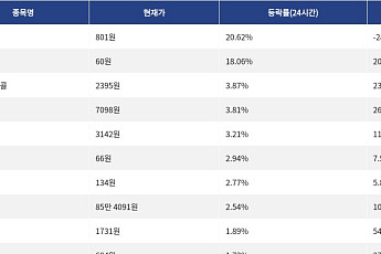 [넥스블록][상승 코인 10] SKYAI 20.62% 급등, 스테이블 18.06% 상승세