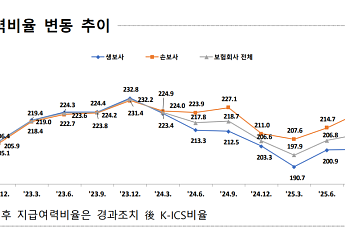 보험사 지급여력비율 212.3%⋯생보 오르고 손보 내렸다