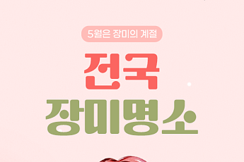 [카드뉴스] 가족 나들이 실패 없는 '전국 장미 스팟' 6