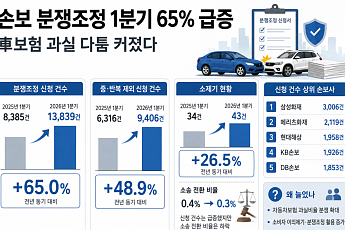 손보 분쟁조정 1분기 65% 급증⋯車보험 과실 다툼 커졌다