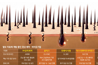 탈모도 ‘혁신신약’ 개발 열풍…주인공 누가 될까[자라나라 머리머리]