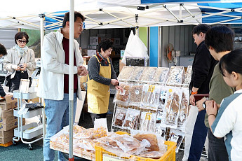 365일 '반값 여행'...강진군 선도도시 된다