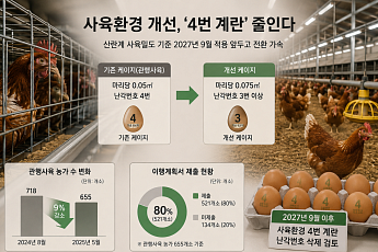 계란값 잡아야 하는데 닭장도 넓혀야…‘4번 계란’ 퇴출 딜레마