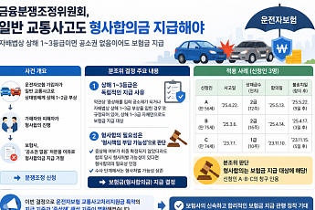 금감원 “상해 1~3등급 교통사고 형사합의금, 운전자보험서 지급해야”