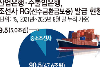 정부, 국책은행 RG 한도 확대 검토…중소 조선사 수주 병목 푸나