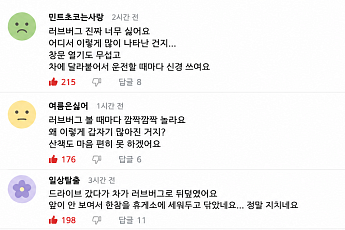 '이 날' 외출 금지...'러브버그 습격' 예고일