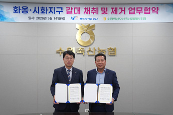 수원축산농협, 한국농어촌공사와 갈대 채취 협력 화옹지구까지 확대…조사료 자급 강화