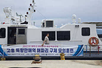 고수온에 해파리 비상…정부, 남해안 대량 출현 대비 총력 대응