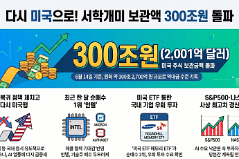 돌아온 서학개미…美 주식 보관액 300조원 돌파