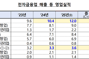 전자금융업 매출 12조원 돌파⋯금감원 “건전경영 기반 마련”