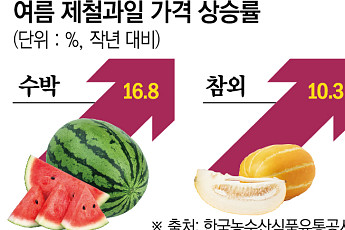 수박·참외 여름과일 값 ‘들썩’...유통가, 물량 확보 나섰다