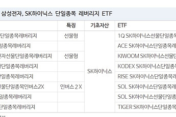 “삼전·하닉 레버리지 ETF, 단기 변동성 확대 요인”