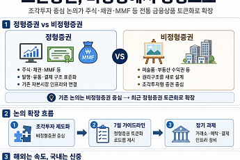 토큰증권, 조각투자 넘어 정형증권으로…“사업화는 중장기 과제”