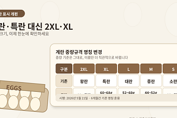 계란 ‘왕란·특란’ 대신 2XL·XL…크기 표시 쉬워진다
