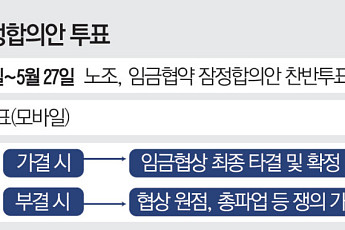 삼성 노사협상 타결에도 마지막 관문…조합원 찬반투표·주주단체 변수