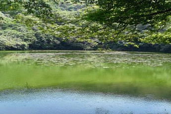 제주도 '물찻오름 습지'...제1호 습지보호지역 지정되나