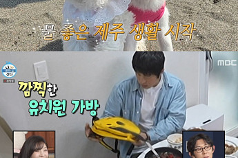 '나 혼자 산다' 기안84, 입양한 반려견 근황 공개⋯