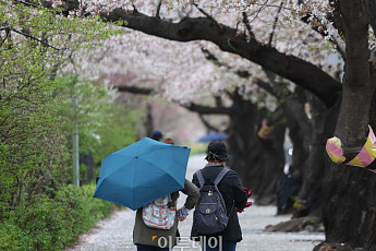 [내일 날씨] 대체공휴일 25일 전국 곳곳 비…제주 낮부터 시작