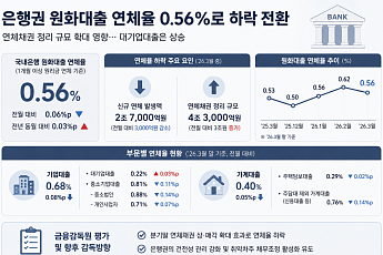 국내은행 연체율 0.56%로 두 달 새 하락…대기업대출은 상승세
