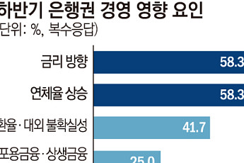 가계대출 규제 막힌 은행들 '관리 모드' [은행장 하반기 경영전략]