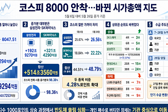8000 안착 코스피 시총 지도 격변⋯외국인 ‘46조 팔자’ 개인이 메워 [종합]