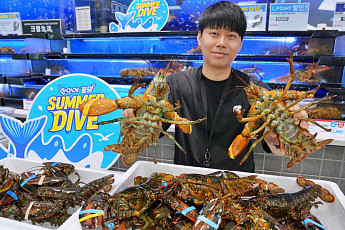 롯데마트, 캐나다산 활랍스터 15만 마리 반값 판매