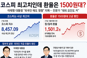 “주가 안정되면 고환율 잡힌다”는 李 대통령 발언, 사실일까?