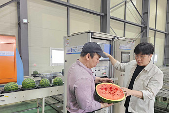 쿠팡, AI 선별 시스템 통해 ‘당도·신선도’ 잡은 여름 과일 판매