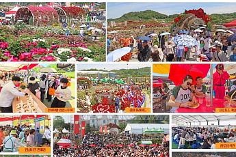 임실N장미축제 첫 개최 흥행…전국 관광객 28만명 방문